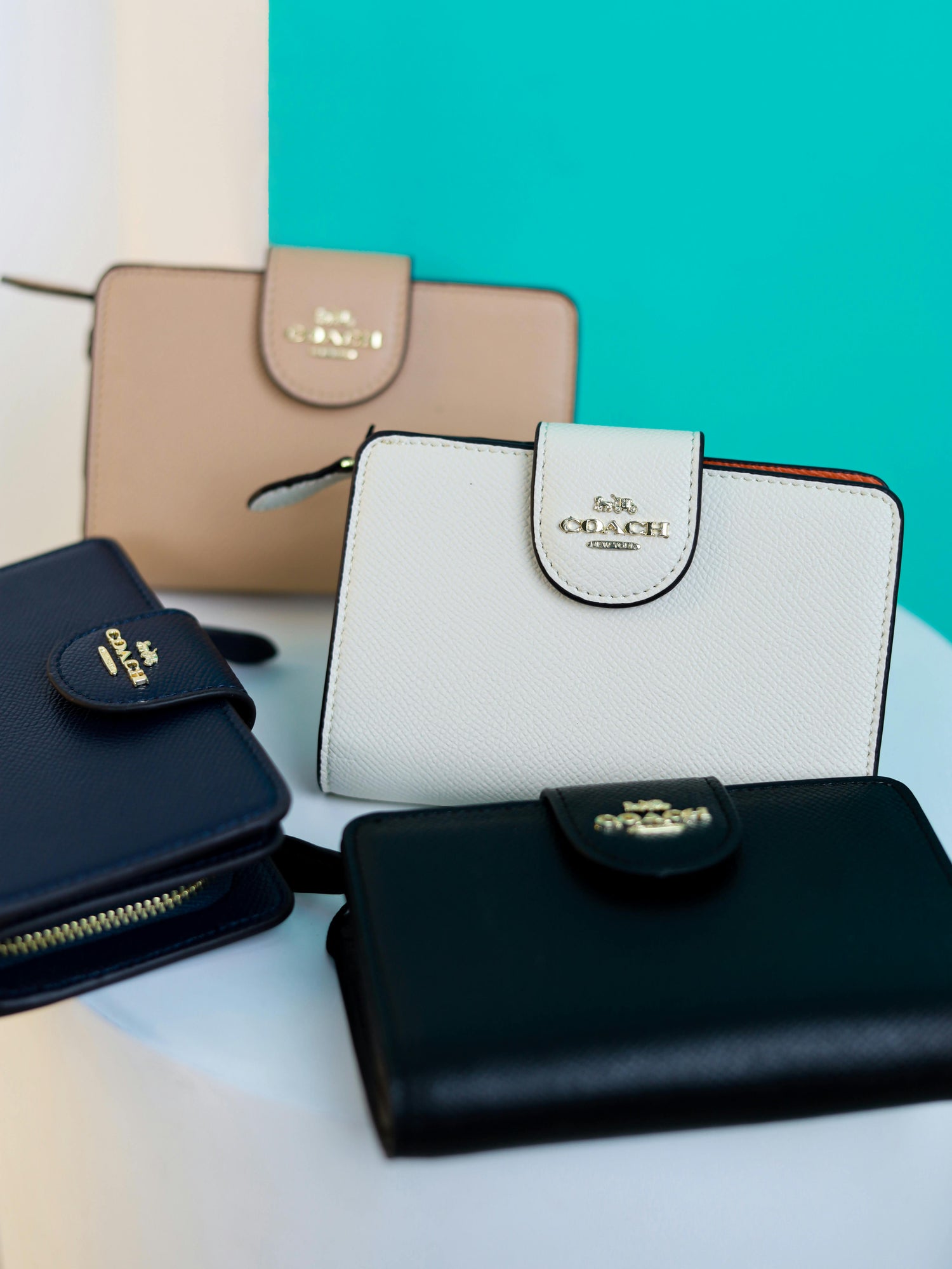 Carteras y monederos